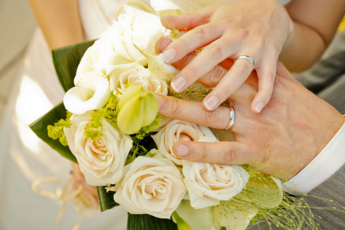 Mariage Chiens 4.jpg